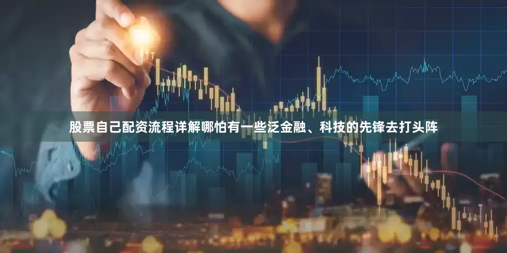 股票自己配资流程详解哪怕有一些泛金融、科技的先锋去打头阵