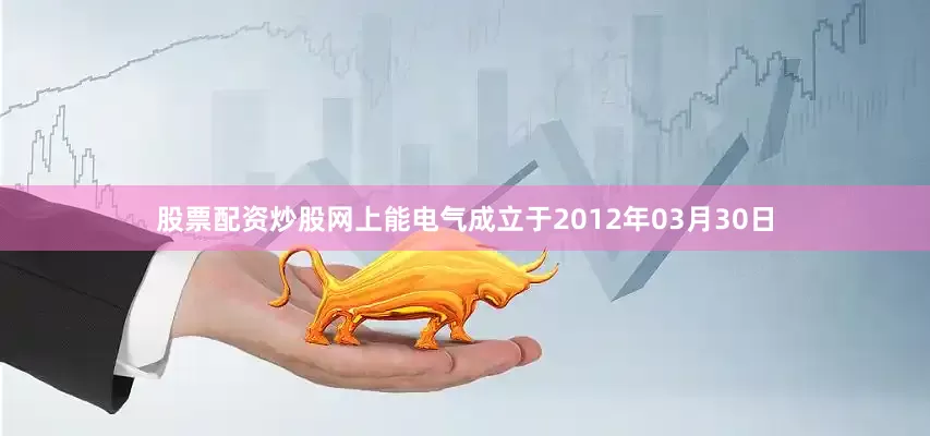 股票配资炒股网上能电气成立于2012年03月30日