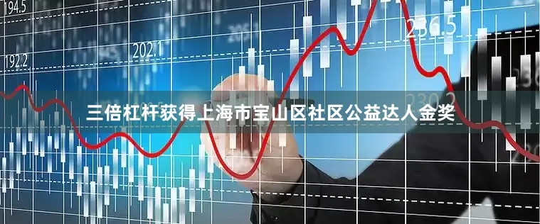 三倍杠杆获得上海市宝山区社区公益达人金奖