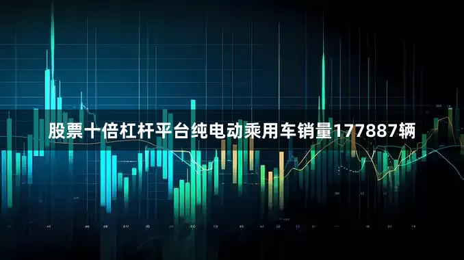 股票十倍杠杆平台纯电动乘用车销量177887辆