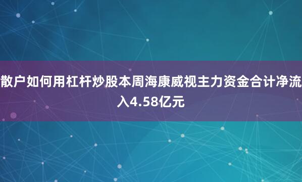 散户如何用杠杆炒股本周海康威视主力资金合计净流入4.58亿元