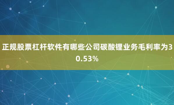 正规股票杠杆软件有哪些公司碳酸锂业务毛利率为30.53%