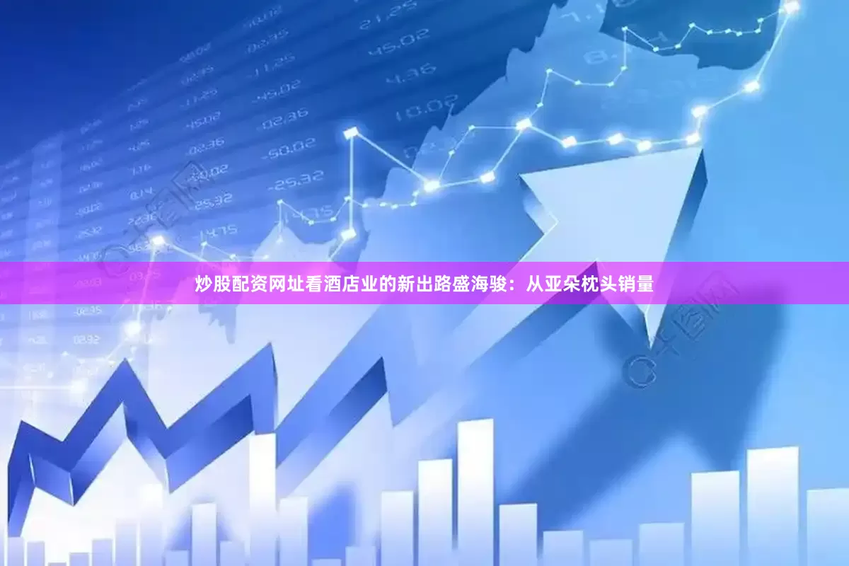 炒股配资网址看酒店业的新出路盛海骏：从亚朵枕头销量