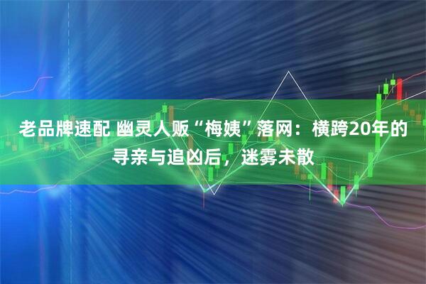 老品牌速配 幽灵人贩“梅姨”落网：横跨20年的寻亲与追凶后，迷雾未散